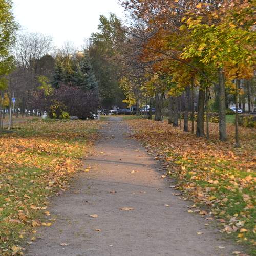 Photo #6664689