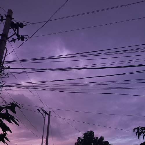 Photo #6664717