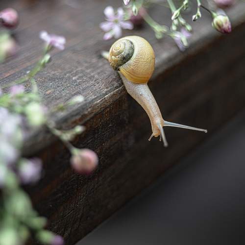 Photo #6664830