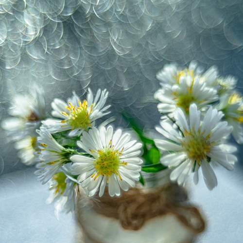 Photo #6664832