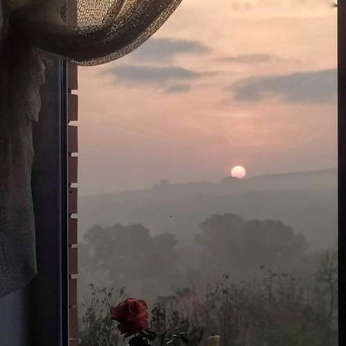 Photo #6664891