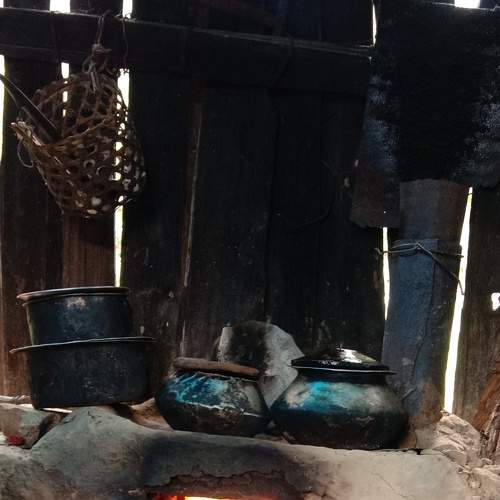 Photo #6665167