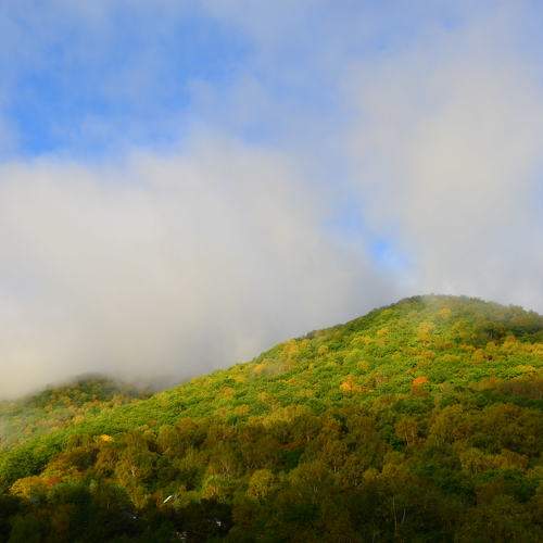 Photo #6665171
