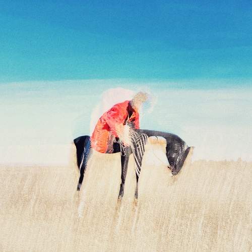 Photo #6665262