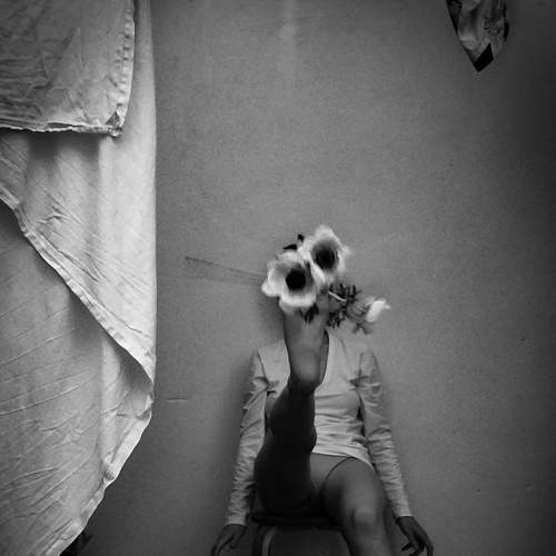 Photo #6665362