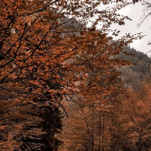 Photo #6665448