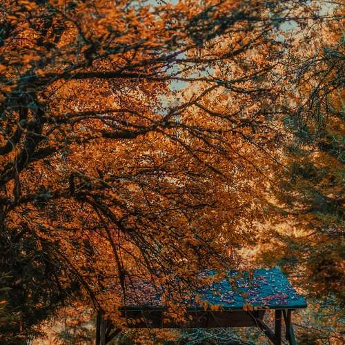 Photo #6665449