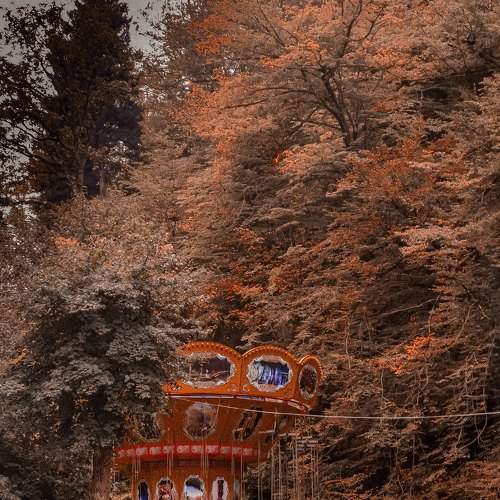 Photo #6665450