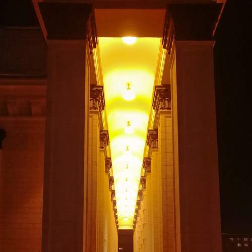Photo #6665520