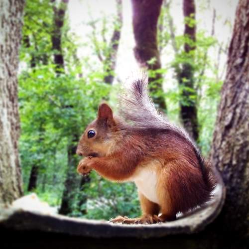 Photo #6665565