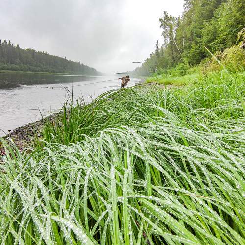 Photo #6666054