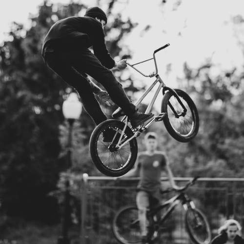 Fly
