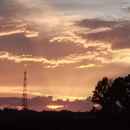 Photo #6666259