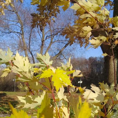 Photo #6666450