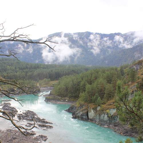 Photo #6666455