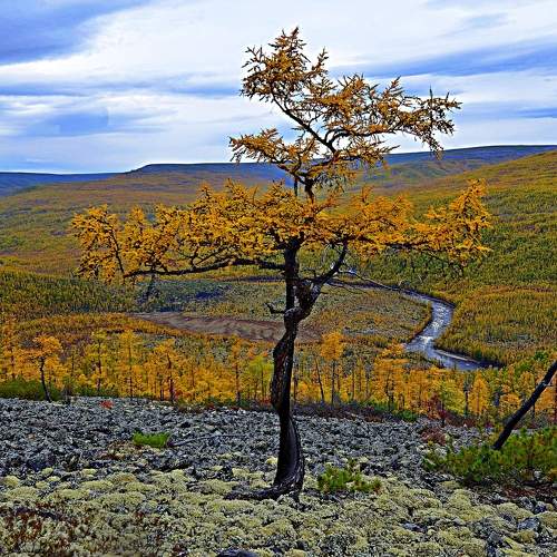 Photo #6666701