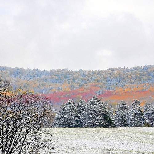 Photo #6666722