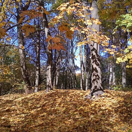 Photo #6667138