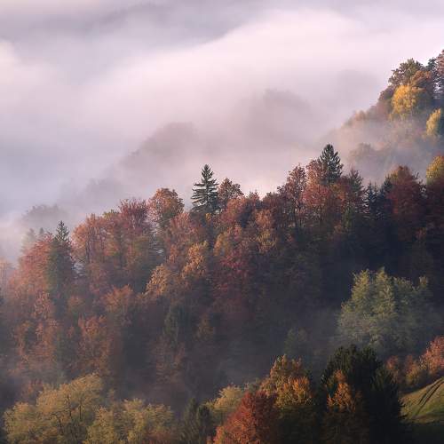 Photo #6667398