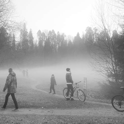 Photo #6667553