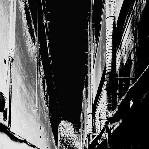 Photo #6667587