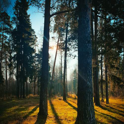 Photo #6667588