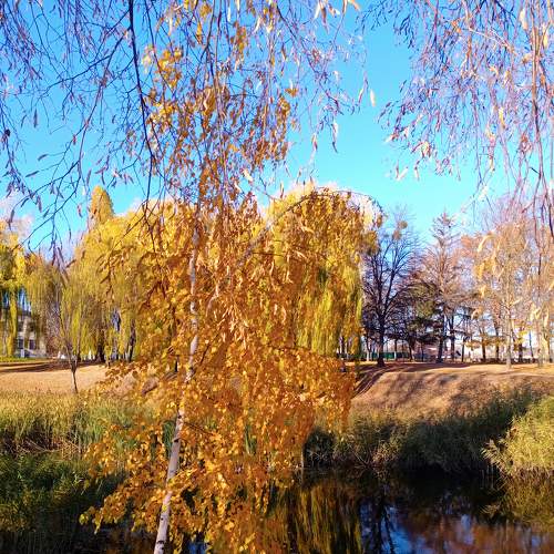 Photo #6667627