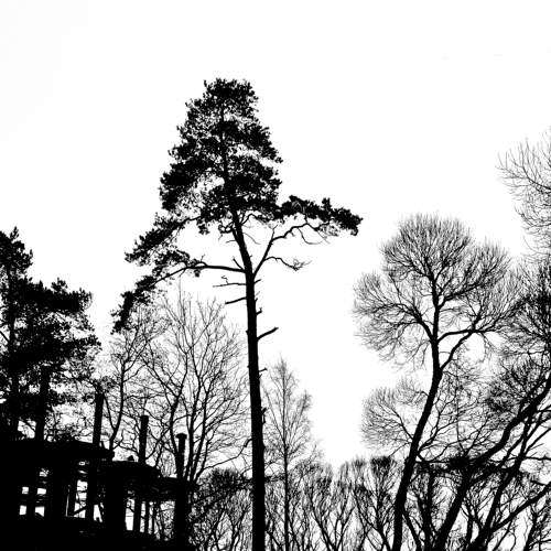 Photo #6667669