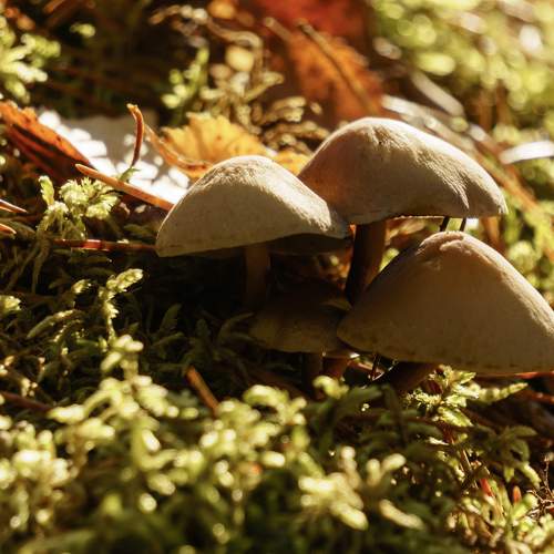 Photo #6667754