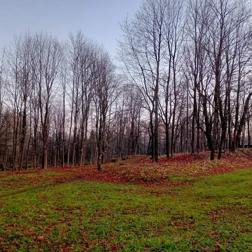 Photo #6667986