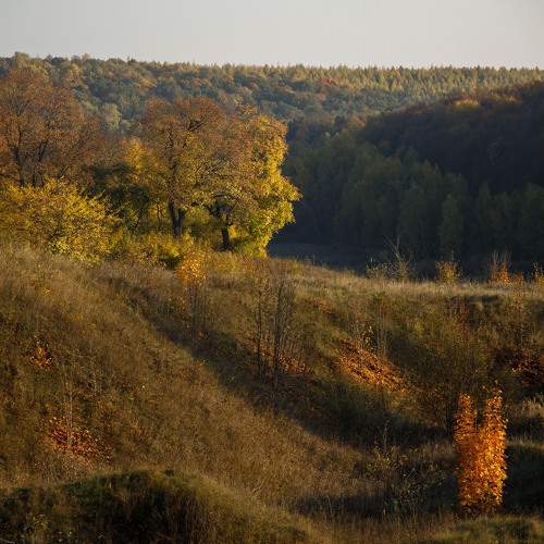 Photo #6668064