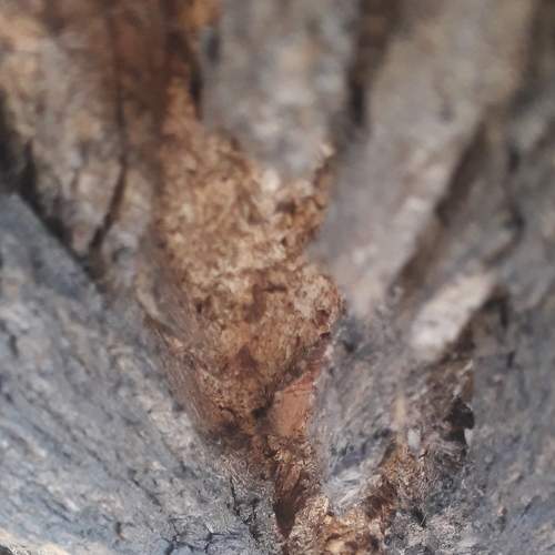 Photo #6668472