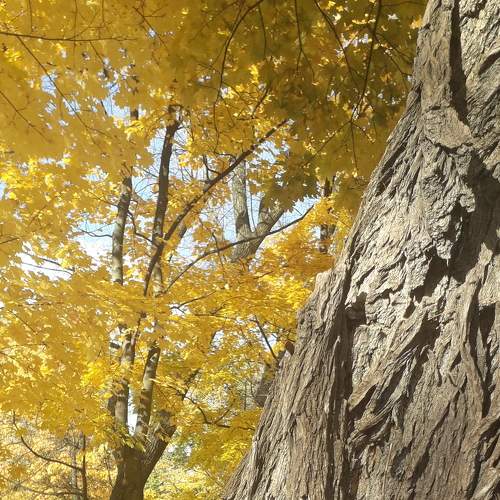 Photo #6668473
