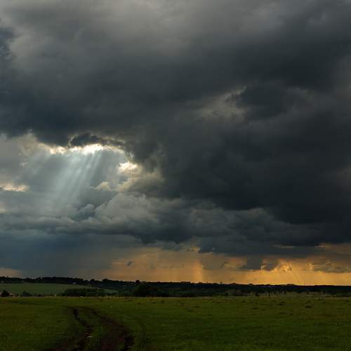 Photo #6668573