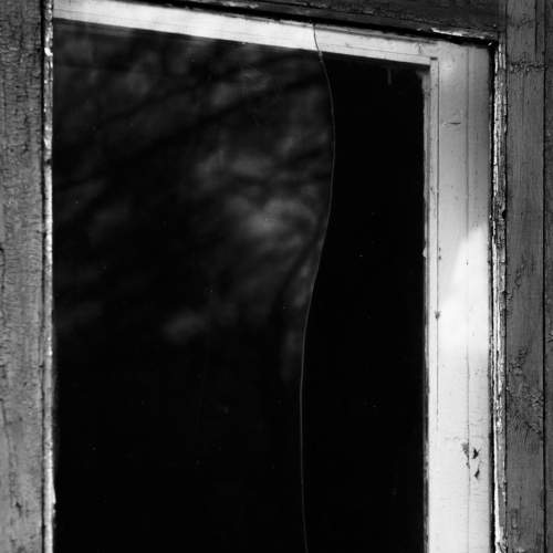Photo #6668592