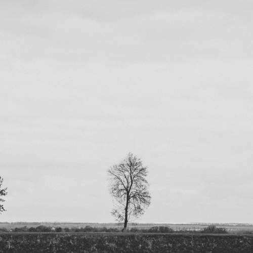Photo #6668609