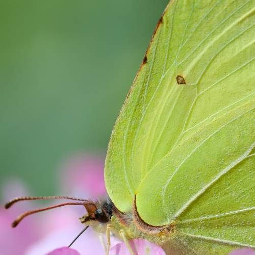 Photo #6668622