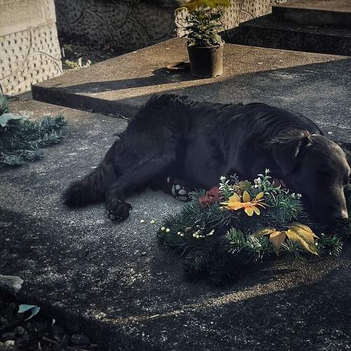 Photo #6668680
