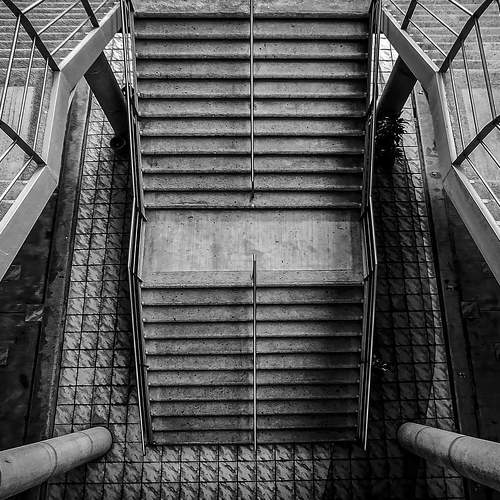 Photo #6668687