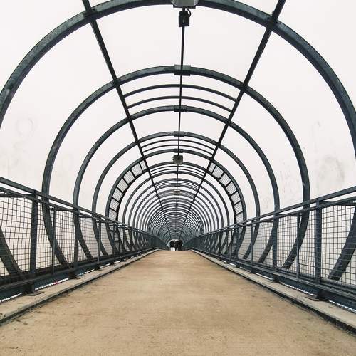 Photo #6668751