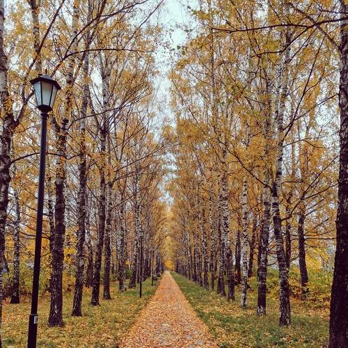 Photo #6668817