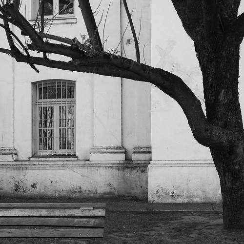 Pavilion Guard