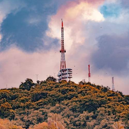 Photo #6669005