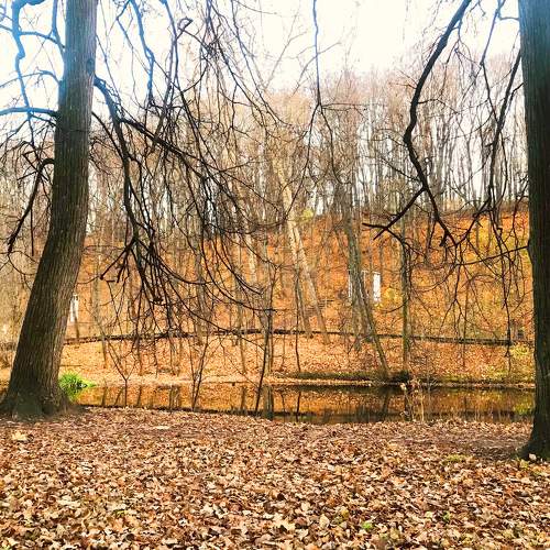 Photo #6669015