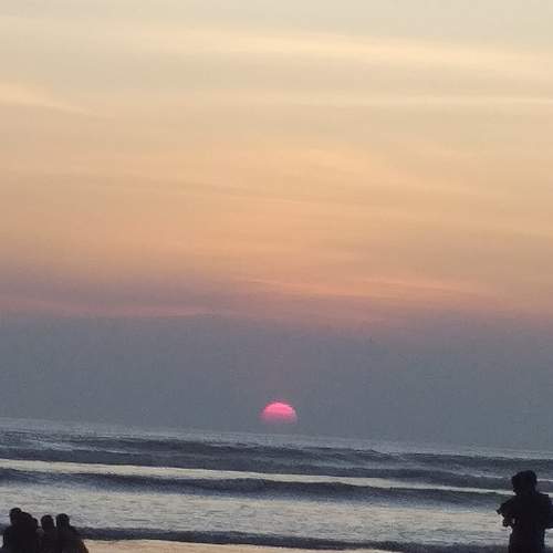 Photo #6669160