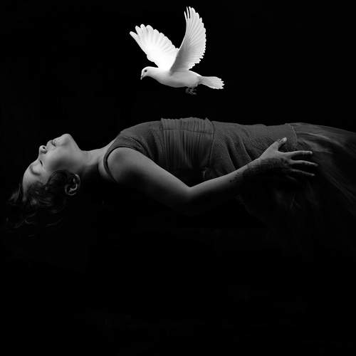 Wings of imagination!
