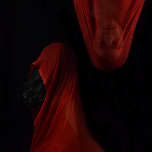Photo #6669429