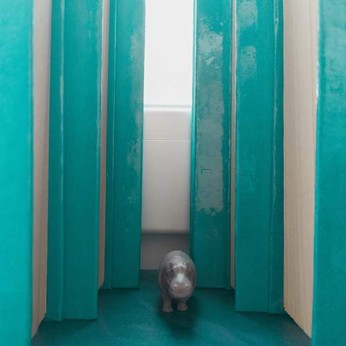 Photo #6669445