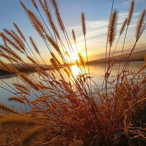 Photo #6669494