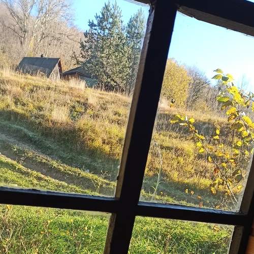 Photo #6669532